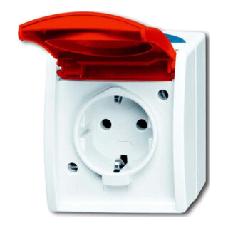 Busch-Jaeger Prise Schuko avec étiquette informatique/nom 20 EW/DVN-53
