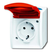Busch-Jaeger Prise Schuko avec étiquette informatique/nom 20 EW/DVN-53-1