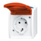 Busch-Jaeger Prise Schuko avec étiquette informatique/nom 20 EW/DVN-53
