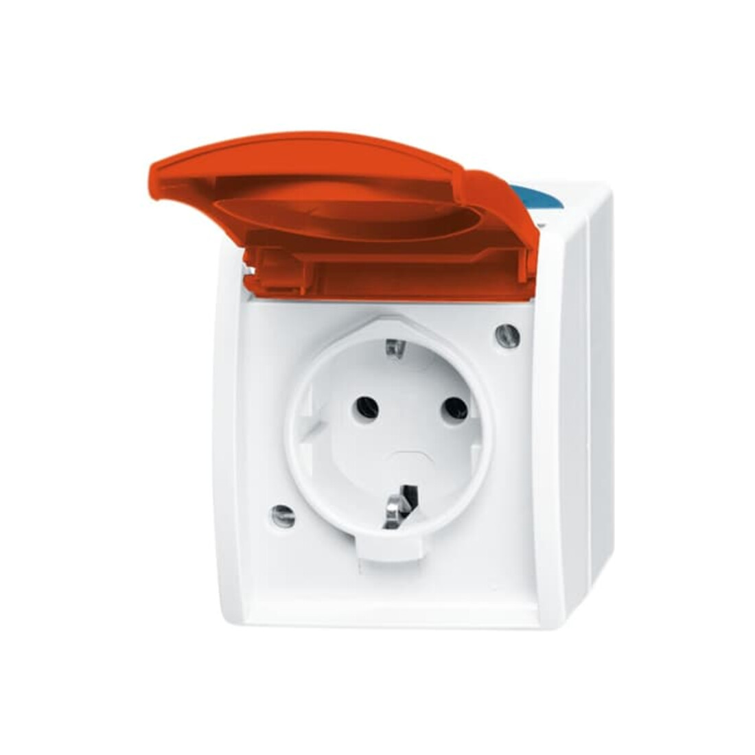 Busch-Jaeger Prise Schuko avec étiquette informatique/nom 20 EW/DVN-53