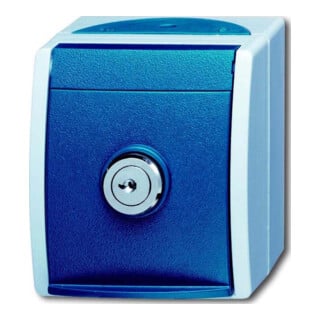 Busch-Jaeger Prise Schuko avec serrure unitaire 20 EWSL-101-53