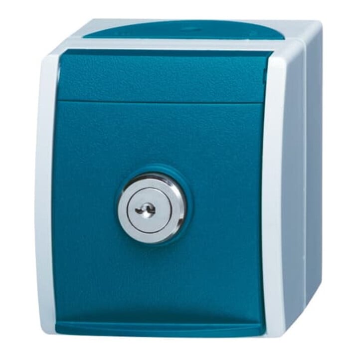 Busch-Jaeger Prise Schuko avec serrure unitaire 20 EWSL-101-53