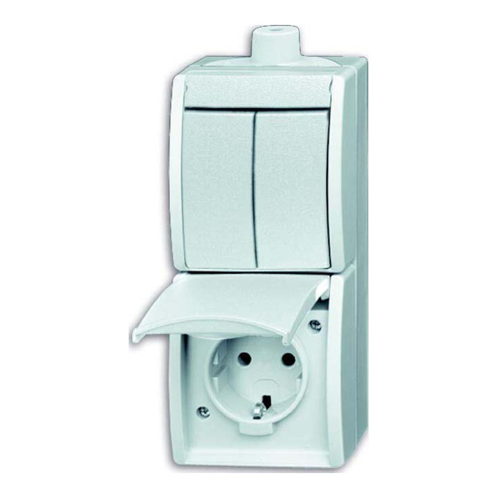 Busch-Jaeger Prise SCHUKO combinée avec interrupteur bascule 2601/5/20EW-54-503