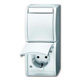 Busch-Jaeger Prise SCHUKO combinée avec interrupteur bascule 2601/6/20 EBW-54