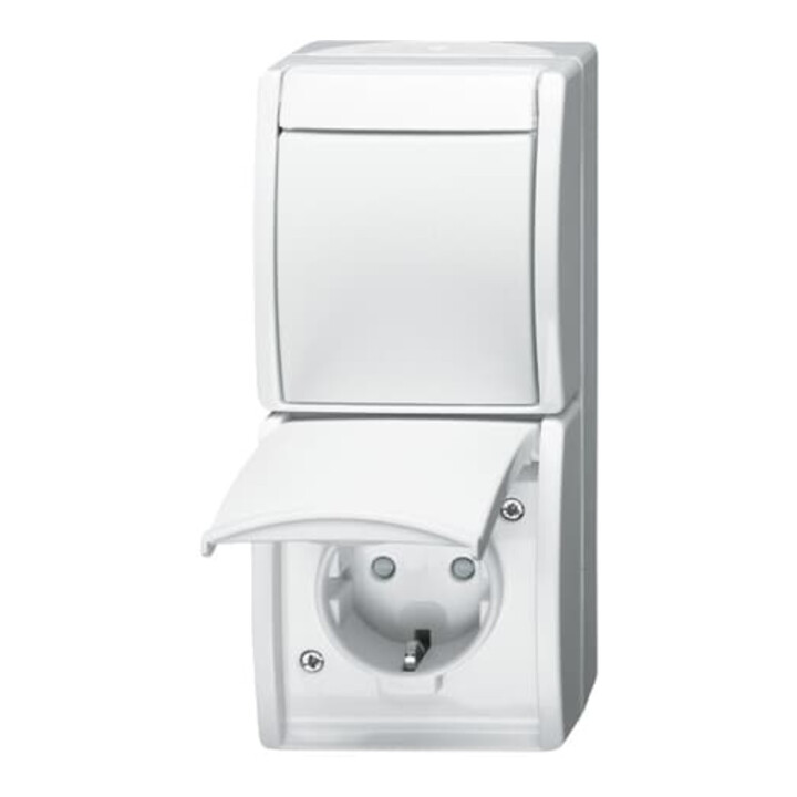 Busch-Jaeger Prise SCHUKO combinée avec interrupteur bascule 2601/6/20 EBW-54