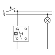 Busch-Jaeger Prise SCHUKO combinée avec interrupteur bascule 2601/6/20 EBW-54-5