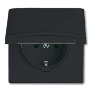 Busch-Jaeger Prise Schuko encastrable IP44 anthracite 20 EUGK-35-101