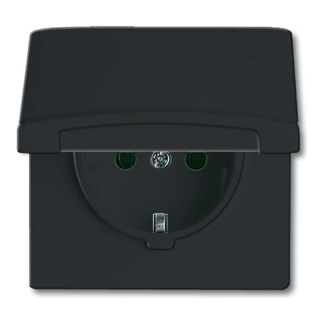 Busch-Jaeger Prise Schuko encastrable IP44 anthracite 20 EUGK-35-101