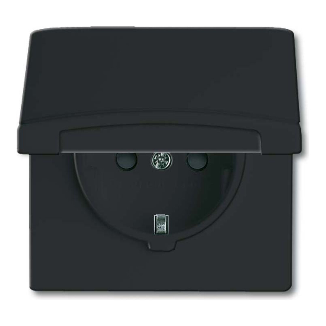 Busch-Jaeger Prise Schuko encastrable IP44 anthracite 20 EUGKB-35-101