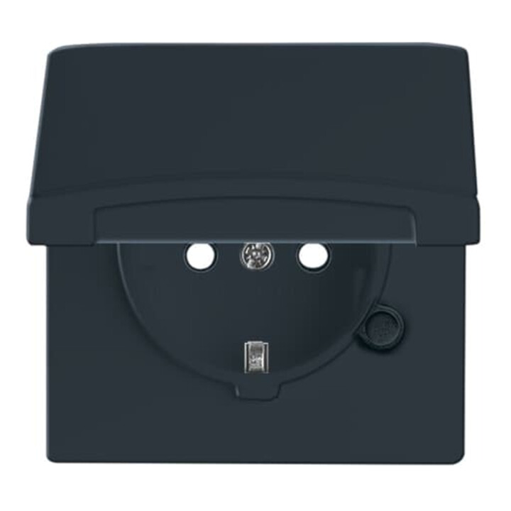 Busch-Jaeger Prise Schuko encastrable IP44 anthracite 20 EUGKB-35-101