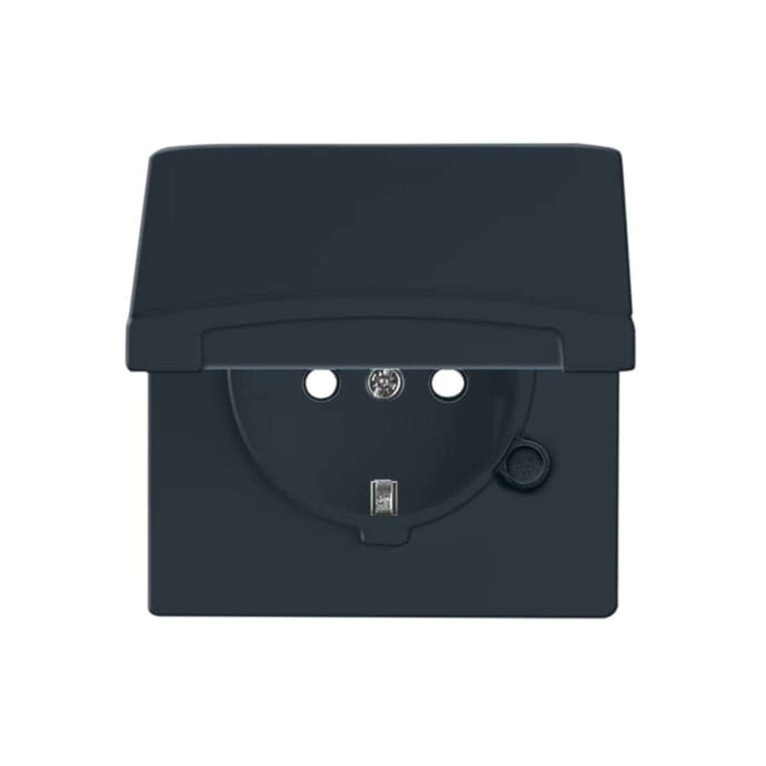 Busch-Jaeger Prise Schuko encastrable IP44 anthracite 20 EUGKB-35-101