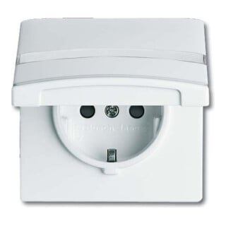 Busch-Jaeger Prise Schuko encastrable IP44 blanc alpin 20 EUGKBN-34-101