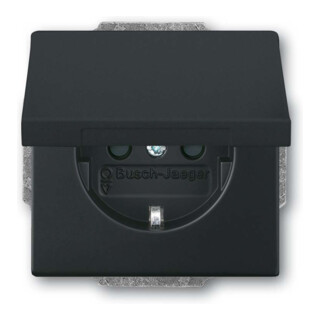 Busch-Jaeger Prise SCHUKO encastrable noir mat 20 EUKB-885