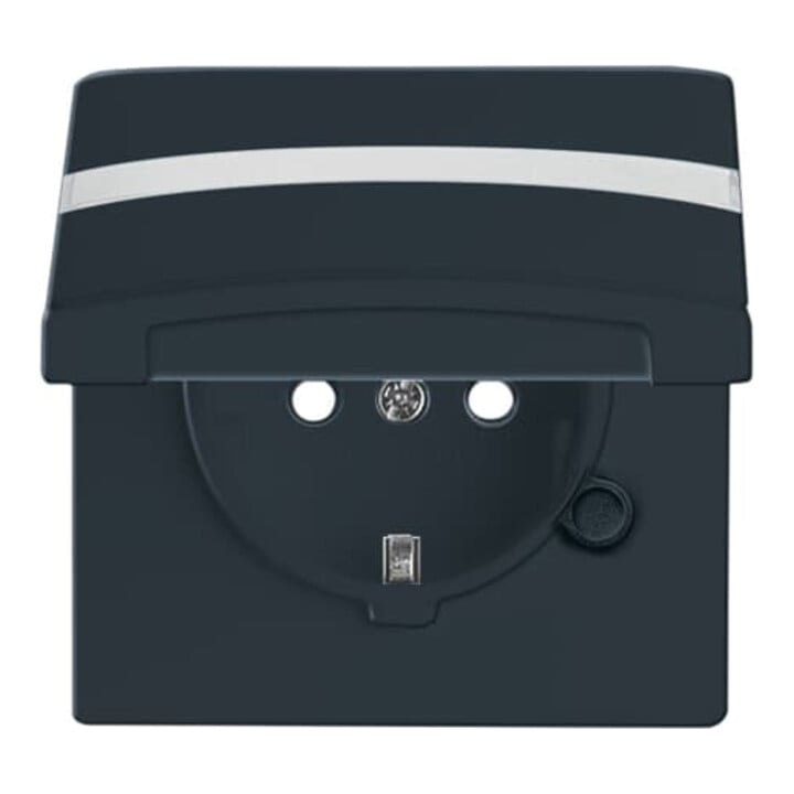 Busch-Jaeger Prise Schuko encastrée IP44 anthracite 20 EUGKBN-35-101