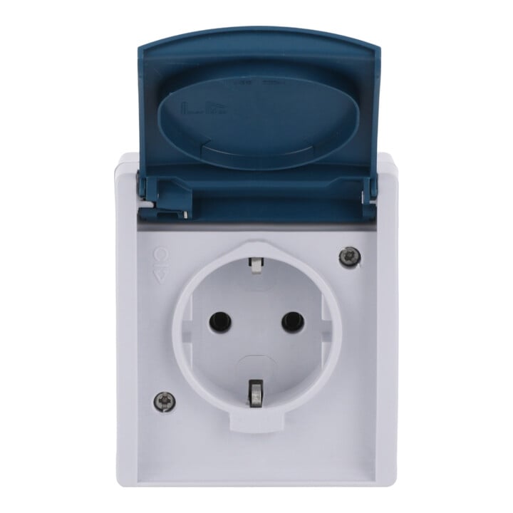 Busch-Jaeger Prise Schuko gr/blgn AP avec couvercle rabattable 20 EW-53