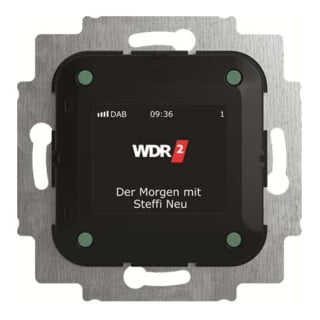 Busch-Jaeger Radio DAB+ 8215 U-101