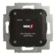 Busch-Jaeger Radio DAB+ 8215 U-101-1