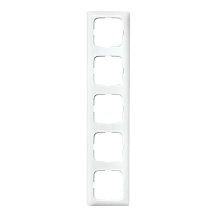 Busch-Jaeger Rahmen 5-fach aws, f.Kanalabdeck. 2515-214K-102
