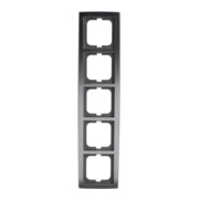 Busch-Jaeger Rahmen 5-fach chrom matt 1725-80-1