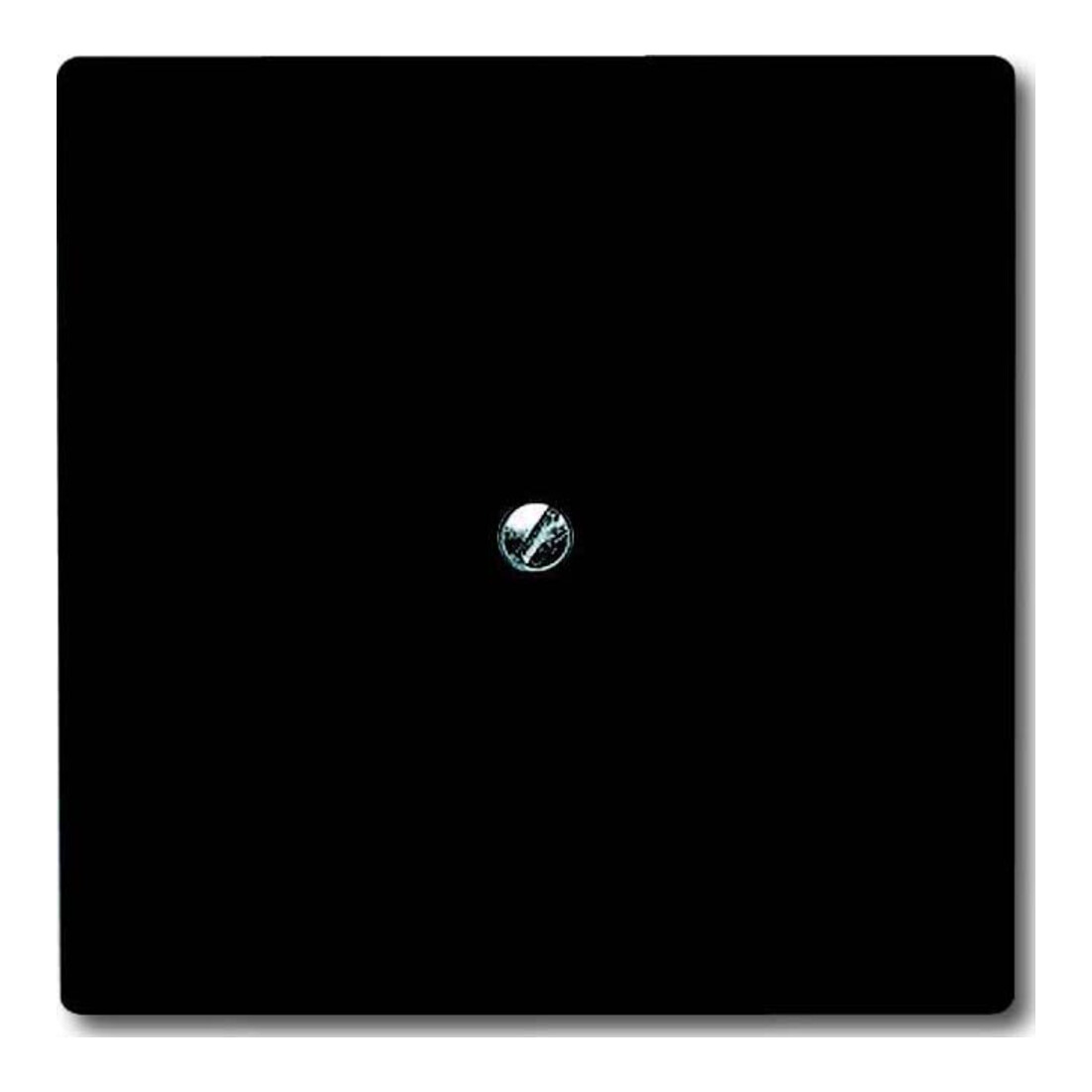 Busch-Jaeger Rosace aveugle anthracite avec bague de support 2138-35