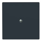 Busch-Jaeger Rosace aveugle anthracite avec bague de support 2138-35-3