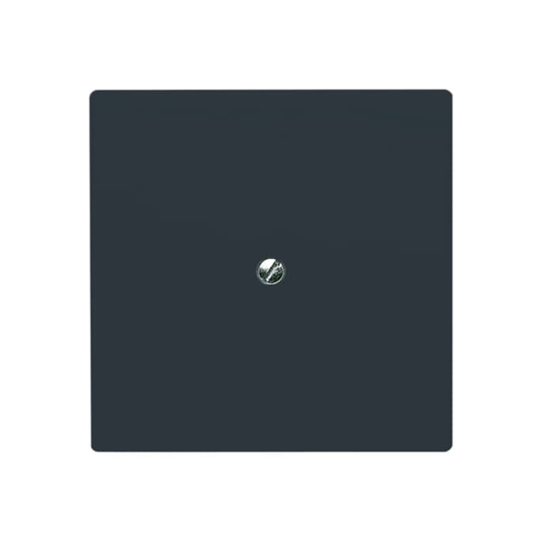 Busch-Jaeger Rosace aveugle anthracite avec bague de support 2138-35