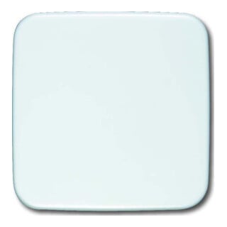 Busch-Jaeger Rosace aveugle aws 54x54mm 1576 C-214