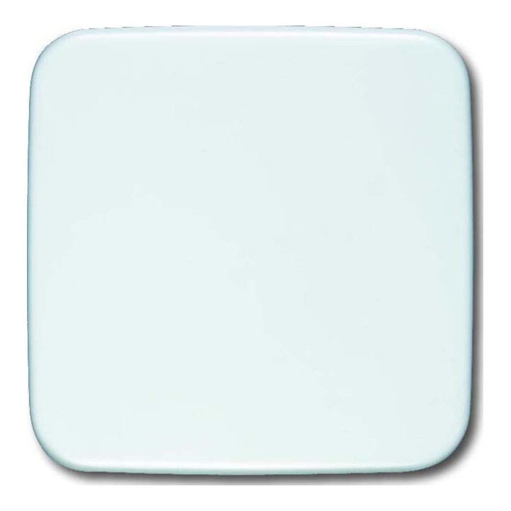 Busch-Jaeger Rosace aveugle aws 54x54mm 1576 C-214