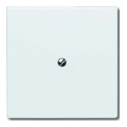 Busch-Jaeger Rosace aveugle aws avec bague de support 2138-34-1