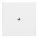 Busch-Jaeger Rosace aveugle aws avec bague de support 2138-34