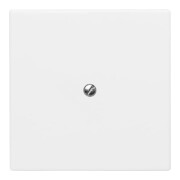 Busch-Jaeger Rosace aveugle aws avec bague de support 2138-34-3