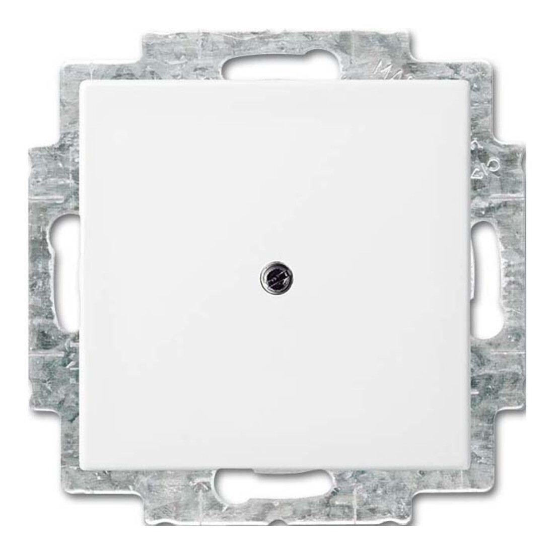 Busch-Jaeger Rosace aveugle blanc alpin 2538-914