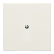 Busch-Jaeger Rosace aveugle blanche avec bague de support 2138-32-3