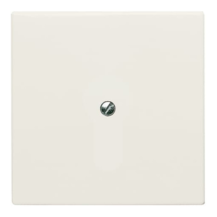 Busch-Jaeger Rosace aveugle blanche avec bague de support 2138-32