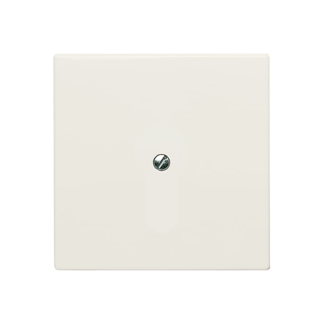 Busch-Jaeger Rosace aveugle blanche avec bague de support 2138-32