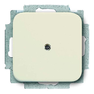 Busch-Jaeger Rosace aveugle blanche avec bague de support 2538-212