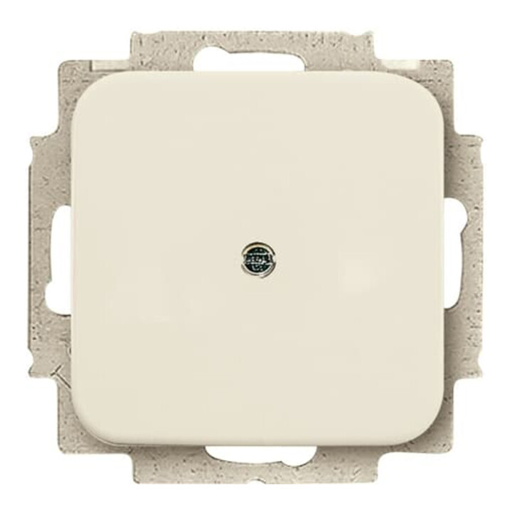 Busch-Jaeger Rosace aveugle blanche avec bague de support 2538-212