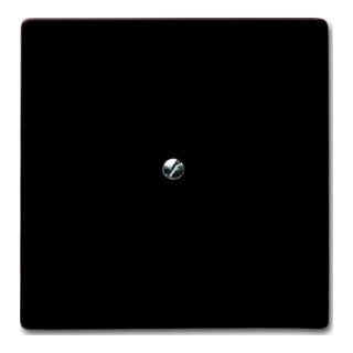 Busch-Jaeger Rosace aveugle br avec bague de support 2138-31