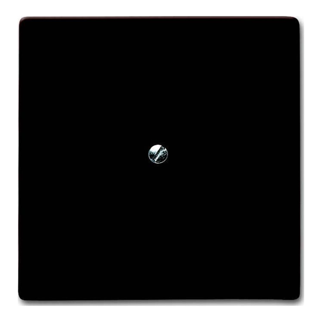 Busch-Jaeger Rosace aveugle br avec bague de support 2138-31