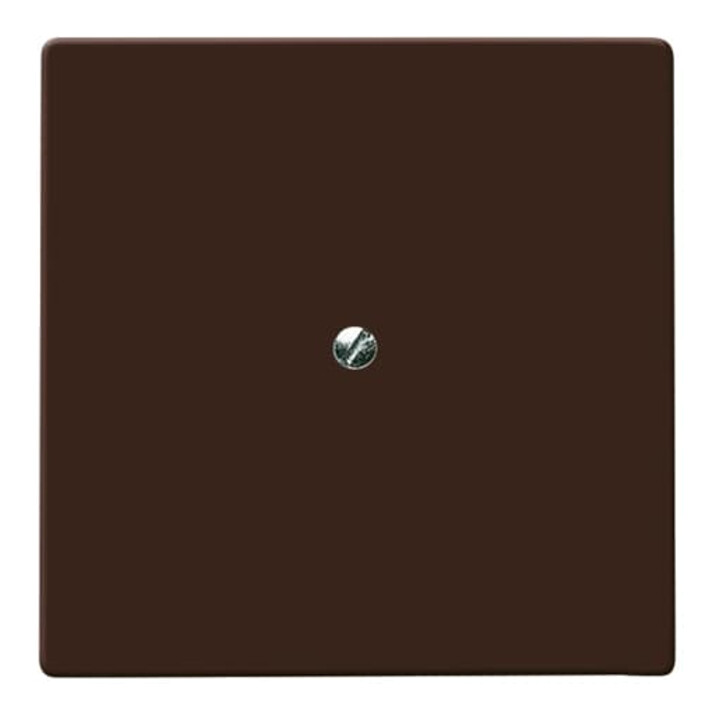 Busch-Jaeger Rosace aveugle br avec bague de support 2138-31