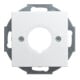 Busch-Jaeger Rosace centrale alpinws pour communication de données 2533-914