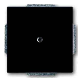 Busch-Jaeger Rosace centrale anthracite aveugle avec bague de support 1742-81
