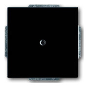 Busch-Jaeger Rosace centrale anthracite aveugle avec bague de support 1742-81-1