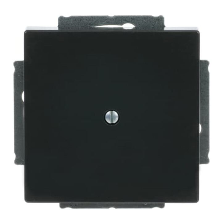 Busch-Jaeger Rosace centrale anthracite aveugle avec bague de support 1742-81