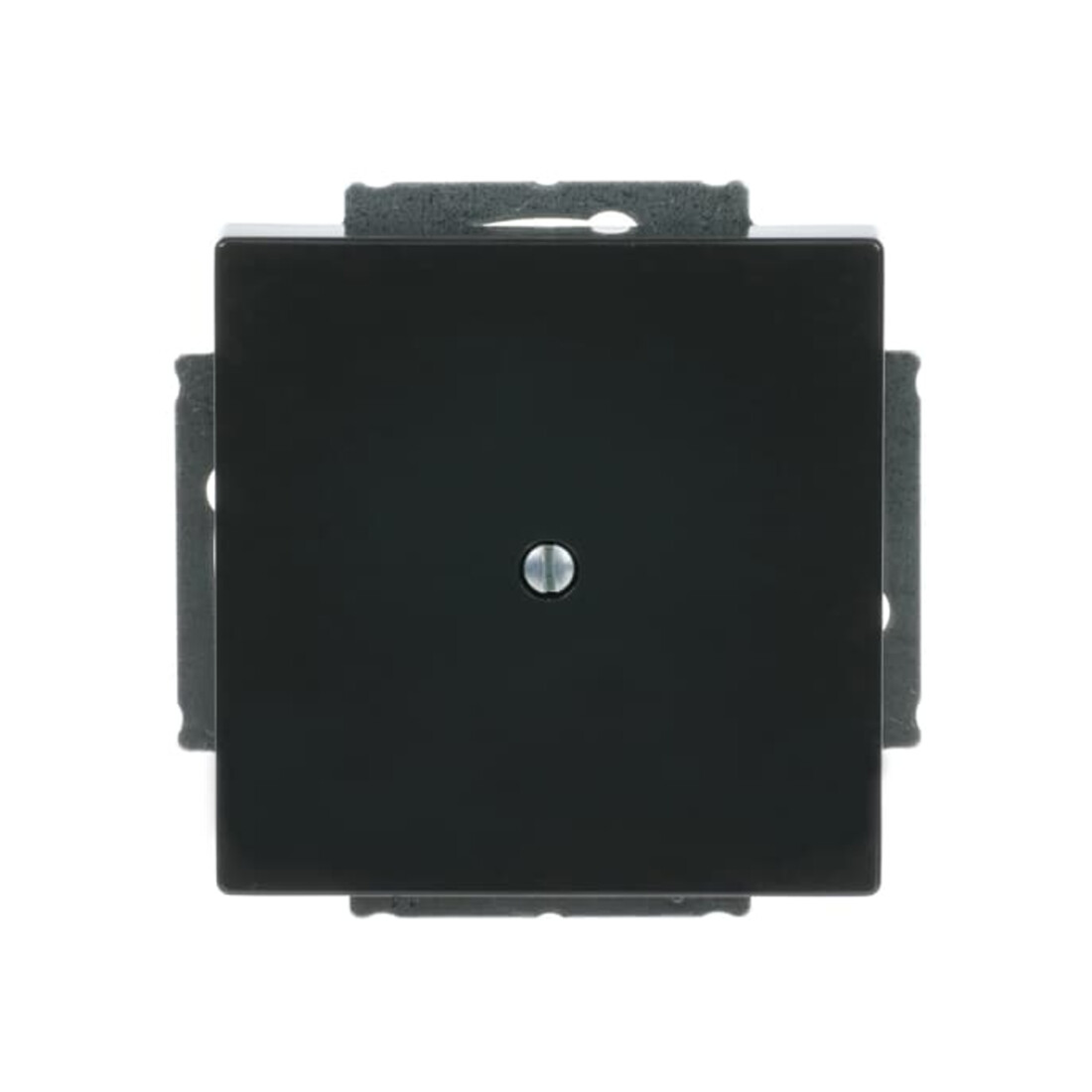 Busch-Jaeger Rosace centrale anthracite aveugle avec bague de support 1742-81