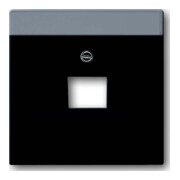 Busch-Jaeger Rosace centrale anthracite pour boîte de connexion UAE 1f 1803-81-1