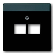 Busch-Jaeger Rosace centrale anthracite pour boîte de connexion UAE 2f 1803-02-81-1