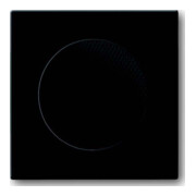 Busch-Jaeger Rosace centrale anthracite pour haut-parleur encastré 8253-81-1