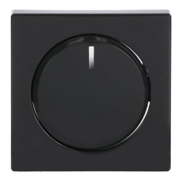 Busch-Jaeger Rosace centrale anthracite pour variateur rotatif 6540-81-102