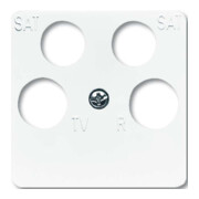Busch-Jaeger Rosace centrale aws antenne, 4 fois 1743/10-04-214-1